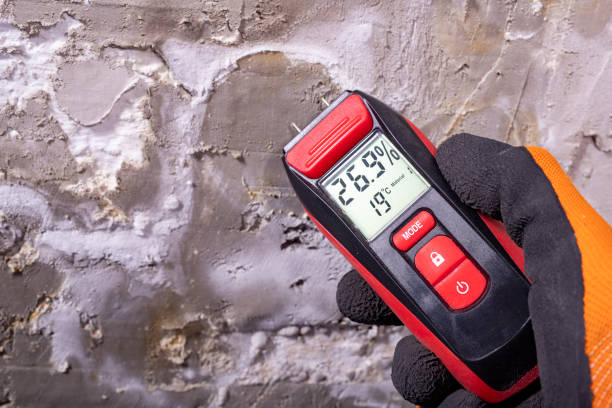 Best Mold Removal Specialists  in Calais, ME